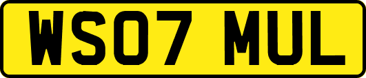 WS07MUL
