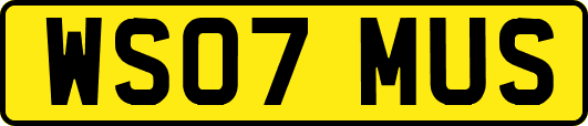 WS07MUS