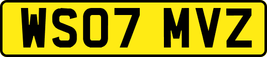 WS07MVZ