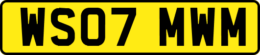 WS07MWM