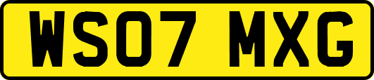 WS07MXG
