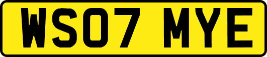 WS07MYE