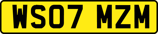 WS07MZM
