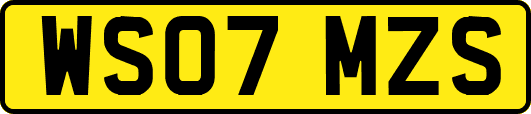 WS07MZS