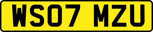 WS07MZU