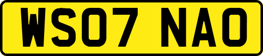 WS07NAO
