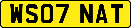 WS07NAT