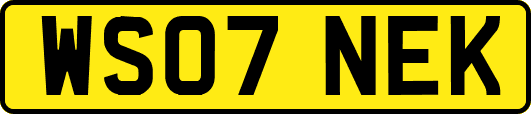 WS07NEK