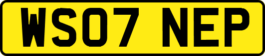 WS07NEP