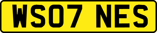 WS07NES