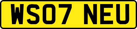 WS07NEU