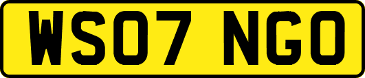 WS07NGO