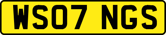 WS07NGS