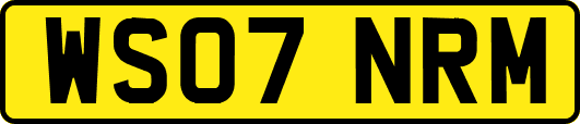 WS07NRM