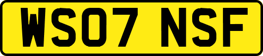 WS07NSF