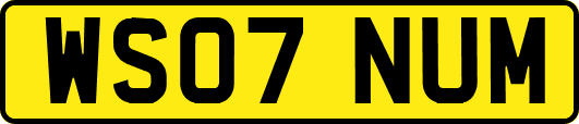 WS07NUM