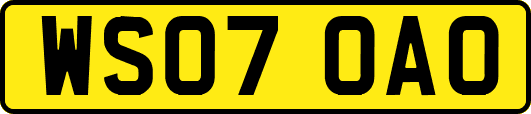 WS07OAO