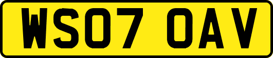 WS07OAV