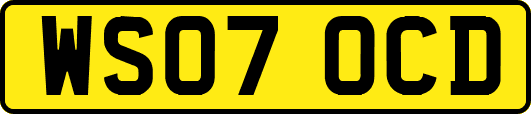WS07OCD