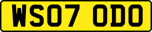 WS07ODO
