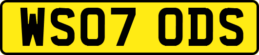 WS07ODS