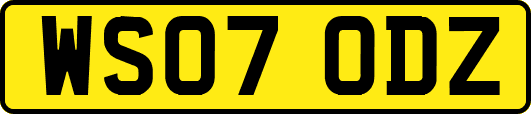 WS07ODZ