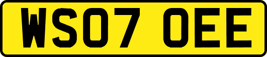 WS07OEE