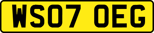 WS07OEG