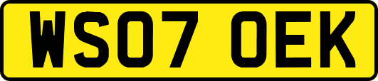 WS07OEK