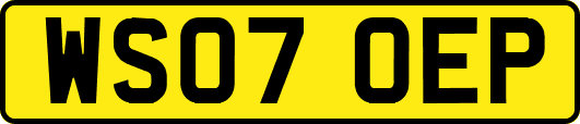 WS07OEP