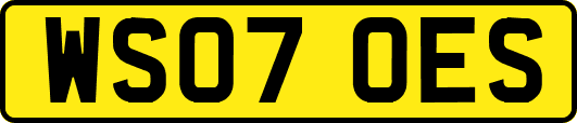 WS07OES