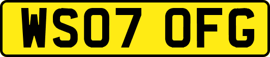 WS07OFG