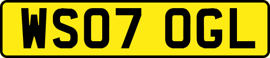 WS07OGL