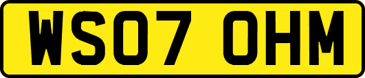 WS07OHM