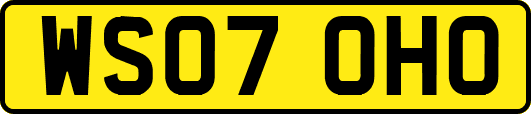 WS07OHO