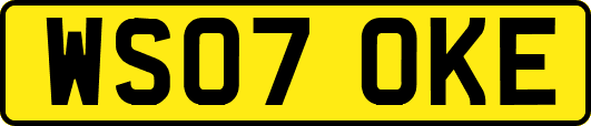 WS07OKE