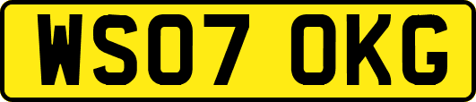 WS07OKG