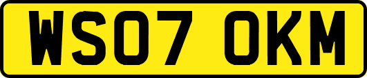 WS07OKM