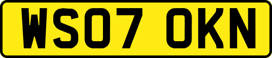 WS07OKN