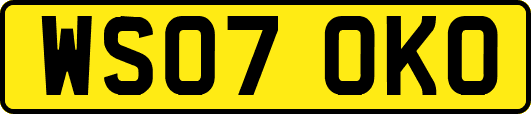 WS07OKO