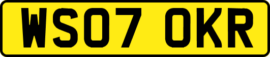 WS07OKR