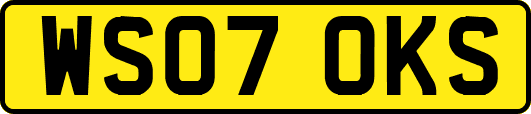 WS07OKS