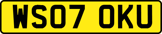 WS07OKU