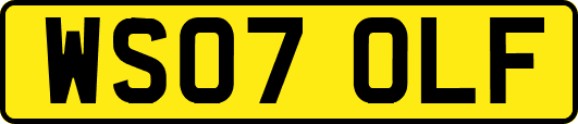 WS07OLF