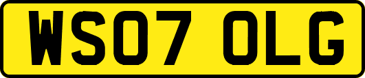 WS07OLG