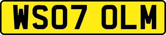 WS07OLM
