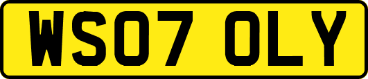 WS07OLY