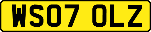 WS07OLZ