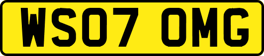 WS07OMG
