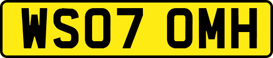 WS07OMH